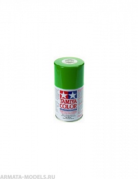86021 Краска для поликарбоната PS-21 Park Green