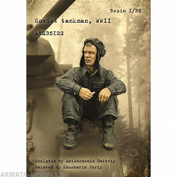 ARM35122 Советский танкист